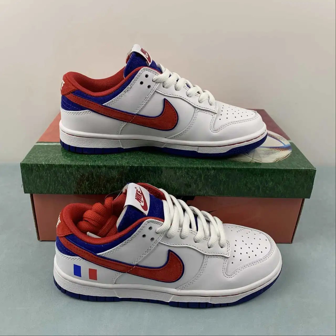 Nike Dunk Low FR2022-668