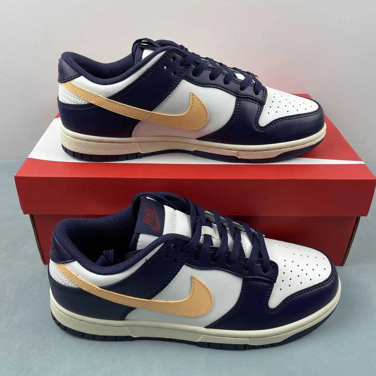 Nike Dunk Low FV8106-181