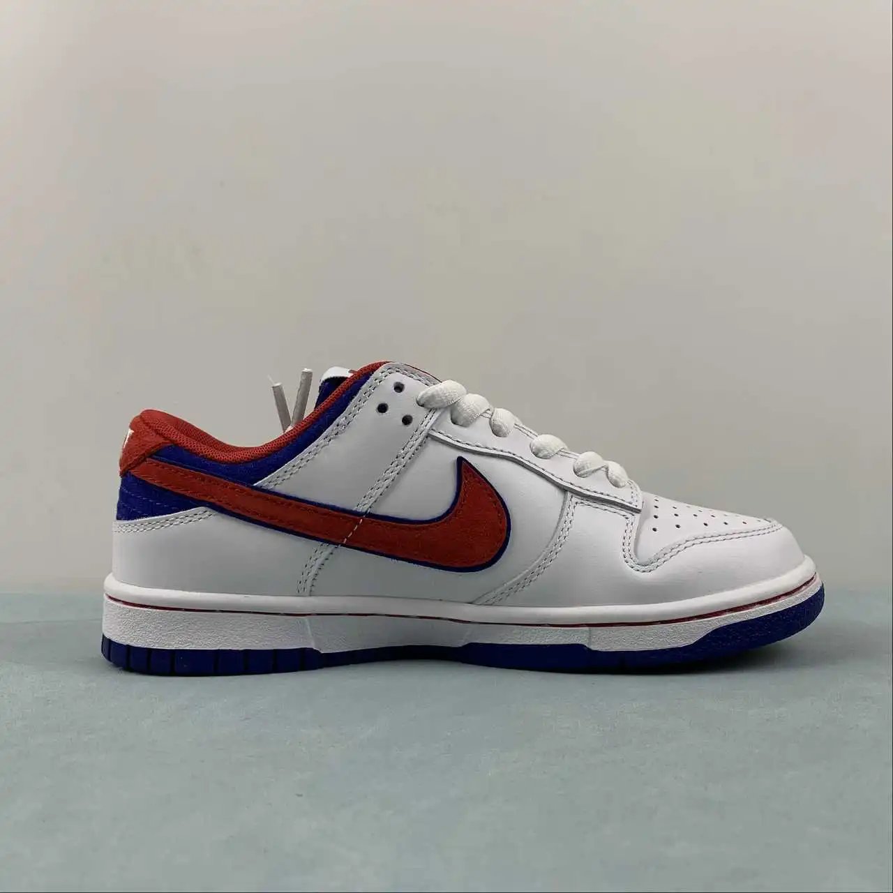 Nike Dunk Low FR2022-668 5