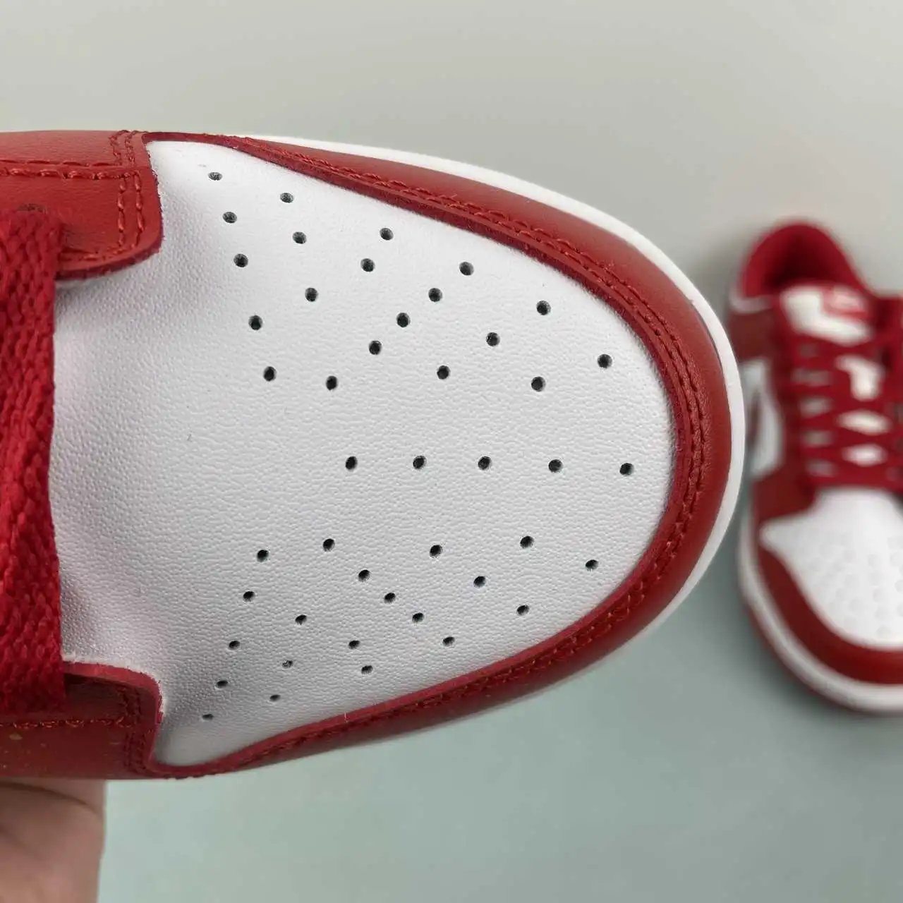 Nike Dunk Low DD1873-116 8