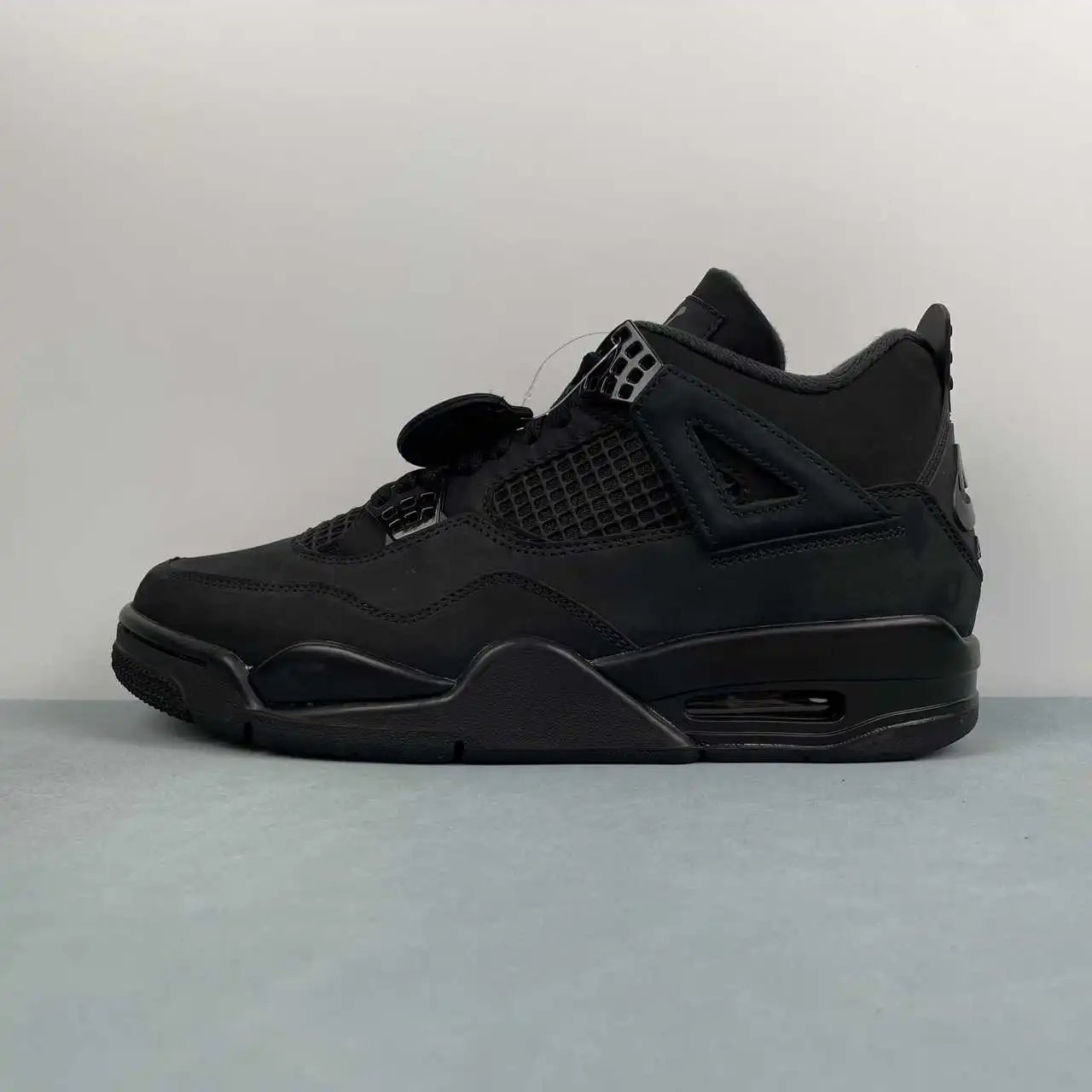 Air Jordan 4 FV5029-010 6