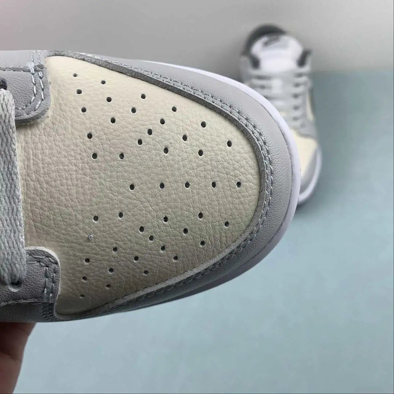 Nike Dunk Low FJ4188-100 8