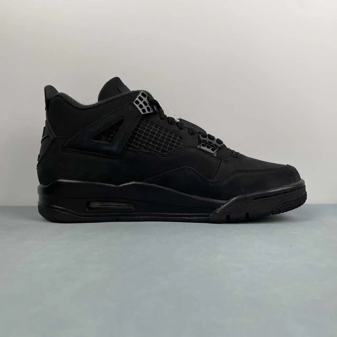 Air Jordan 4 FV5029-010 5