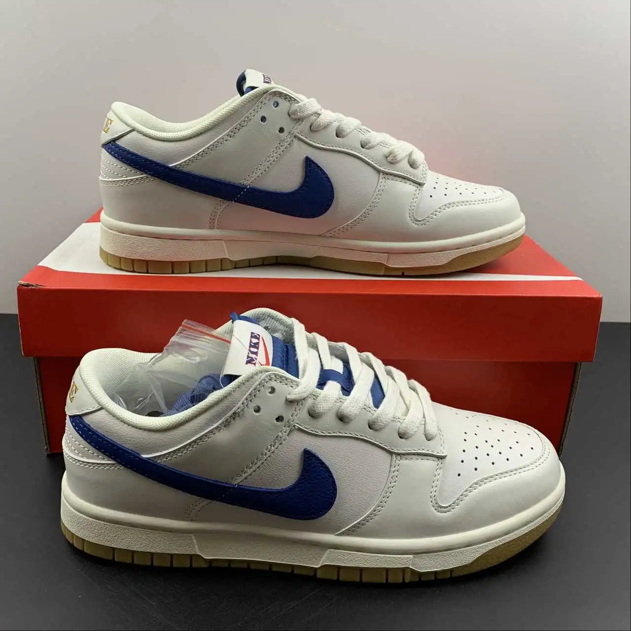 Nike Dunk Low DX3198-133