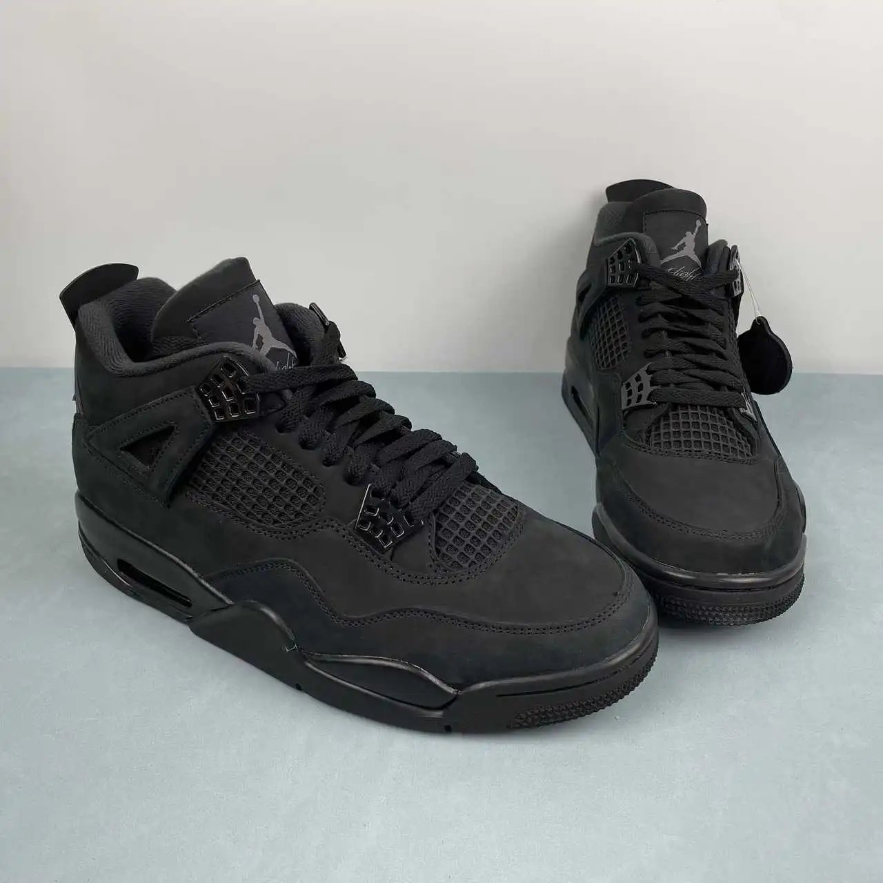 Air Jordan 4 FV5029-010 thumbnail 2