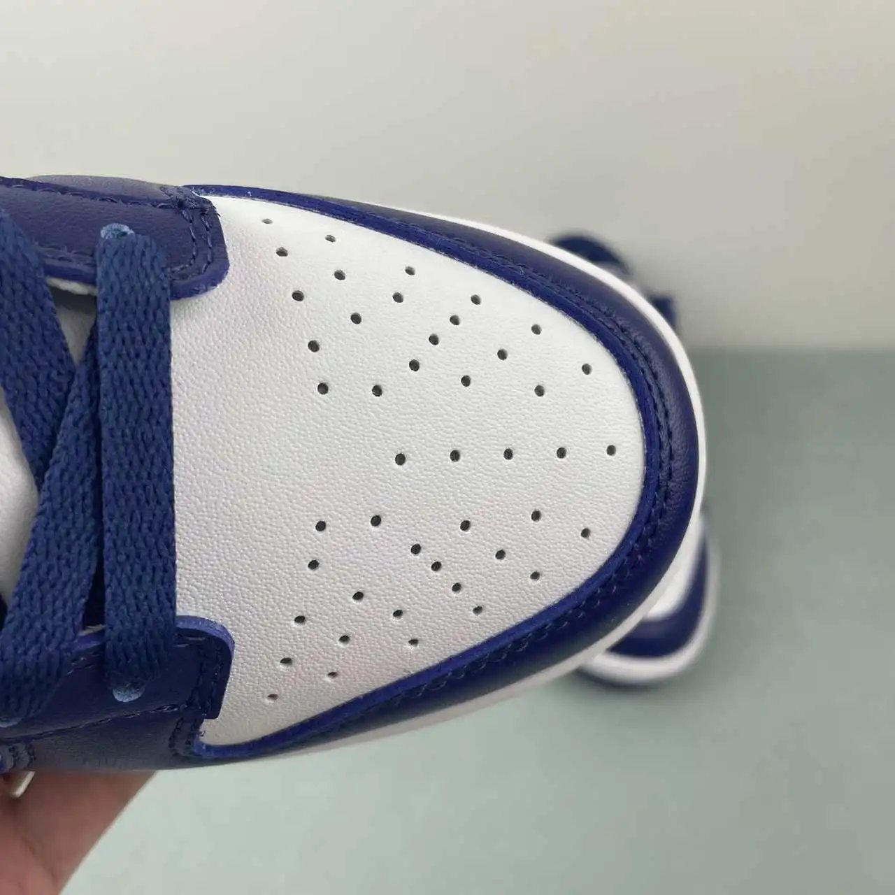 Nike Dunk Low DV0833-401 8