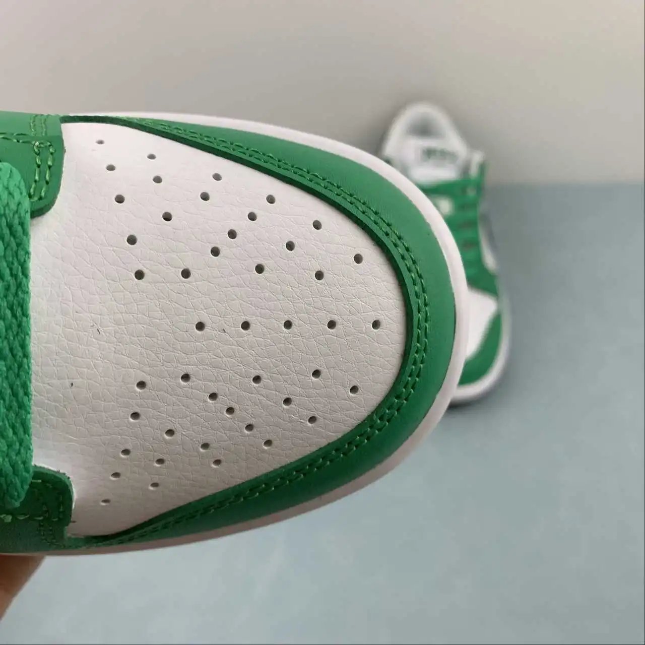 Nike Dunk Low FN3612-300 8
