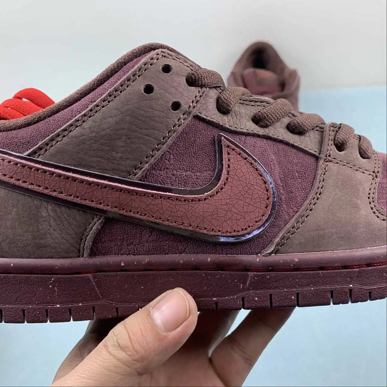 Nike Dunk Low FN0619-600 6