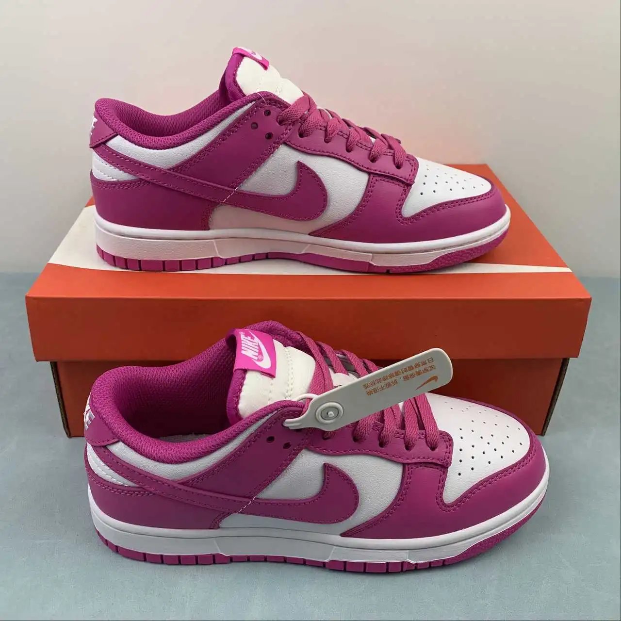 Nike Dunk Low FJ0704-100