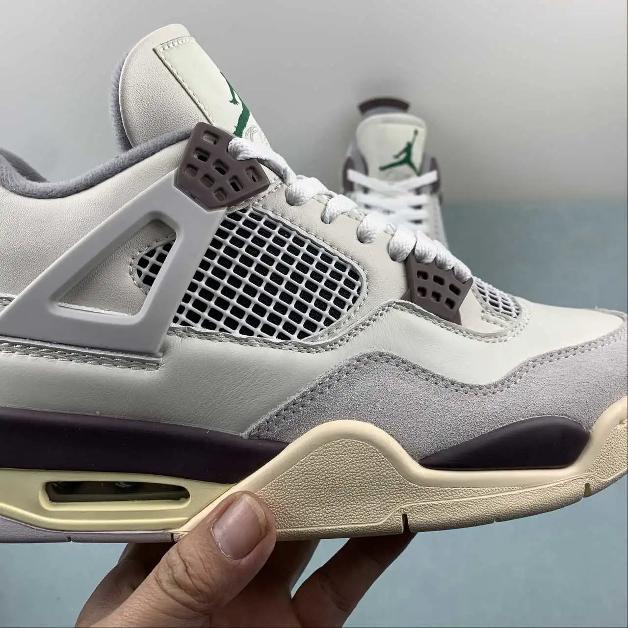 Air Jordan 4 DR5415-102 9