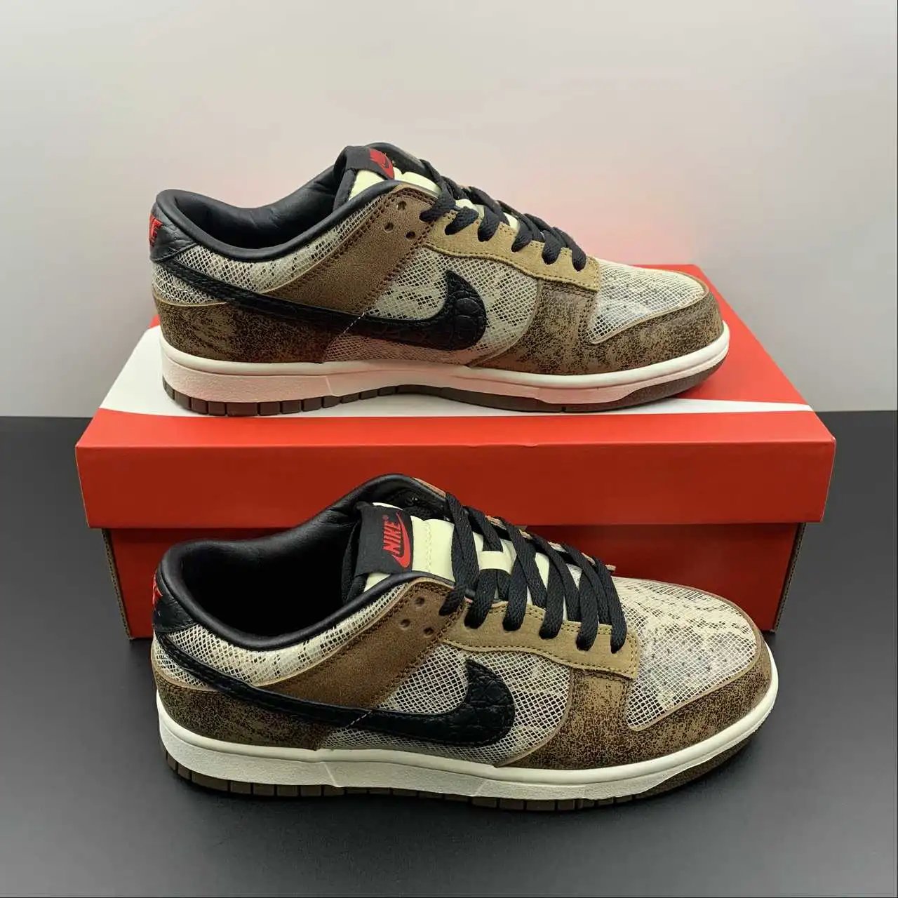 Nike Dunk Low FJ5434-120