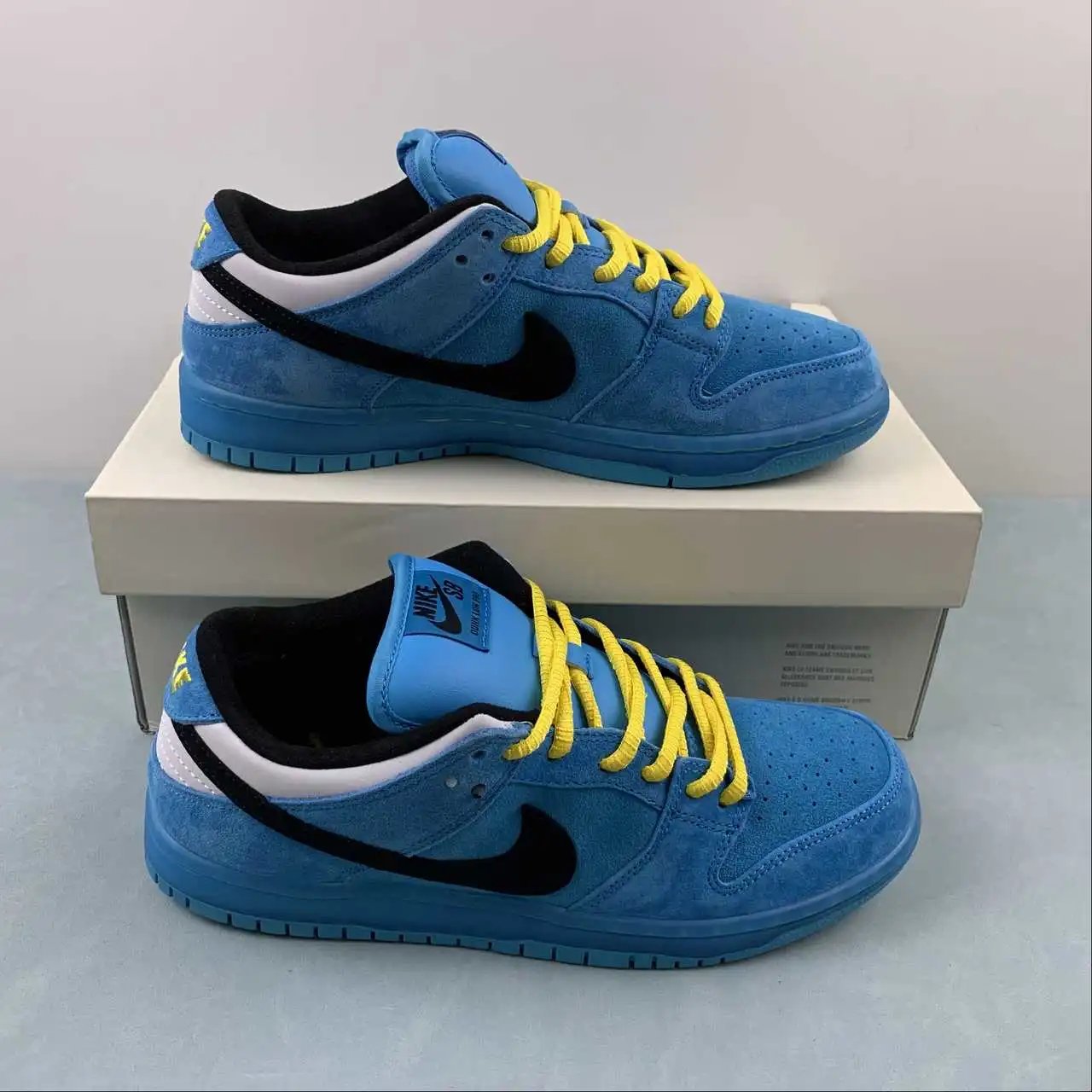 Nike Dunk Low FZ8319-300