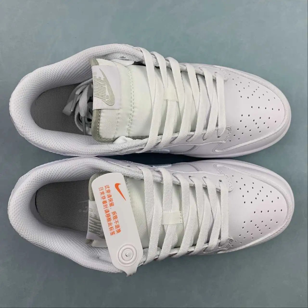 Nike Dunk Low DV0831-101 9