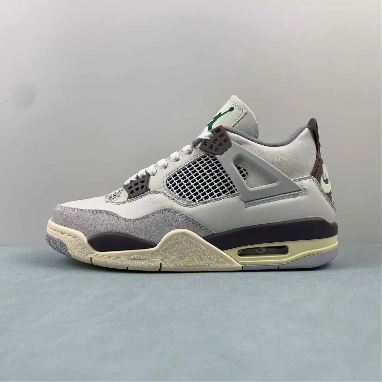 Air Jordan 4 DR5415-102 6