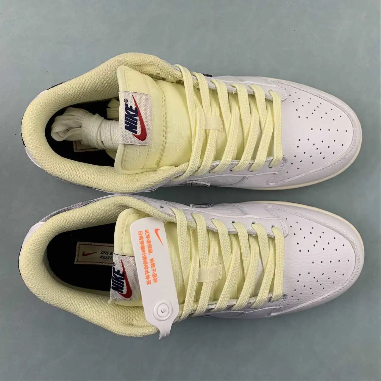 Nike Dunk Low FN6881-100 9