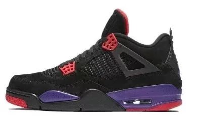 aj4-Raptors