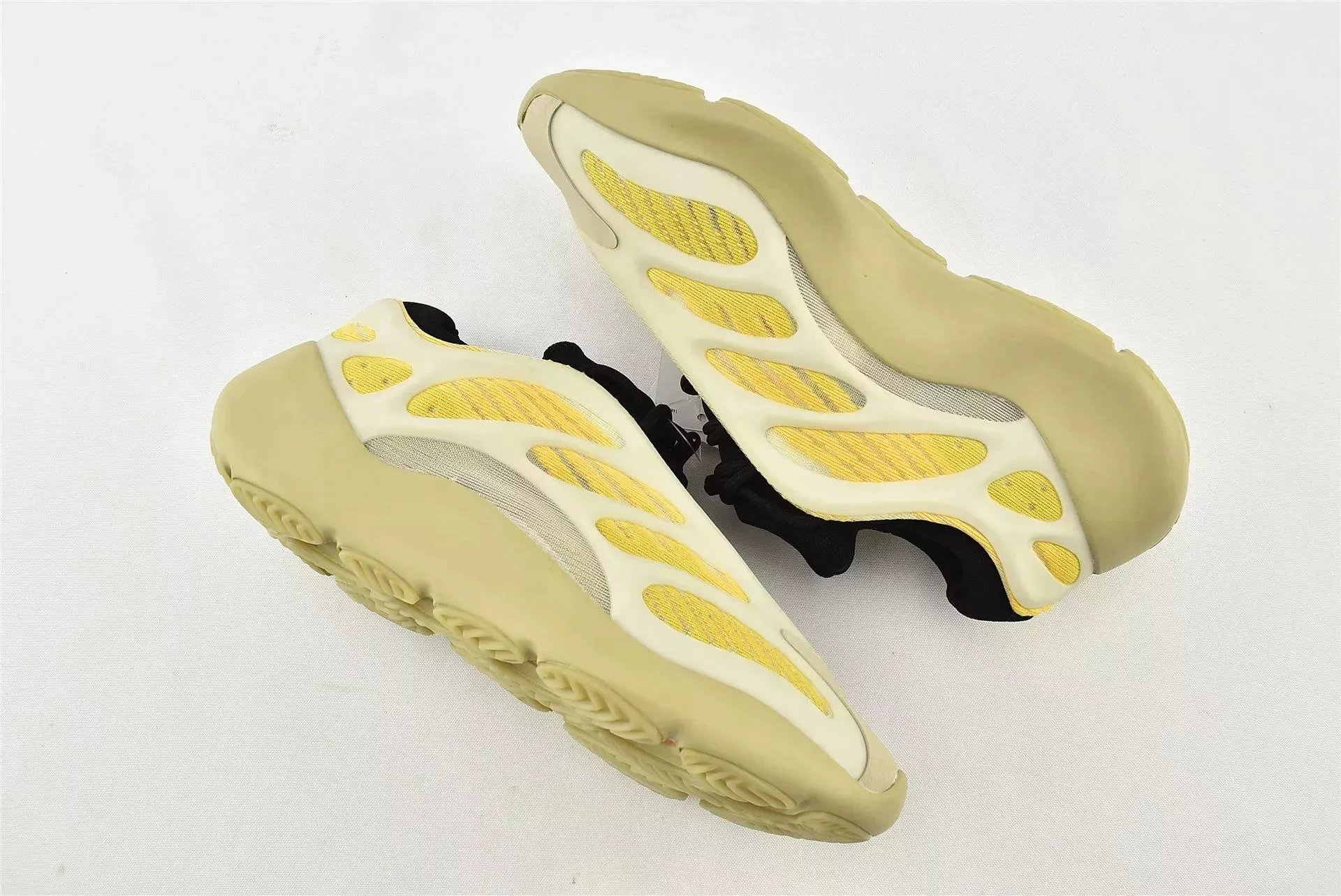 700V3 sunflower seeds
