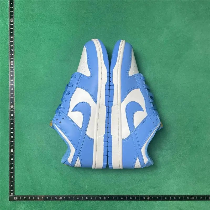 Nike Dunk SB foto 6