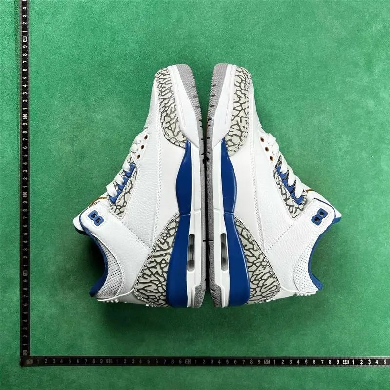 Jordan Air Jordan 3 retro