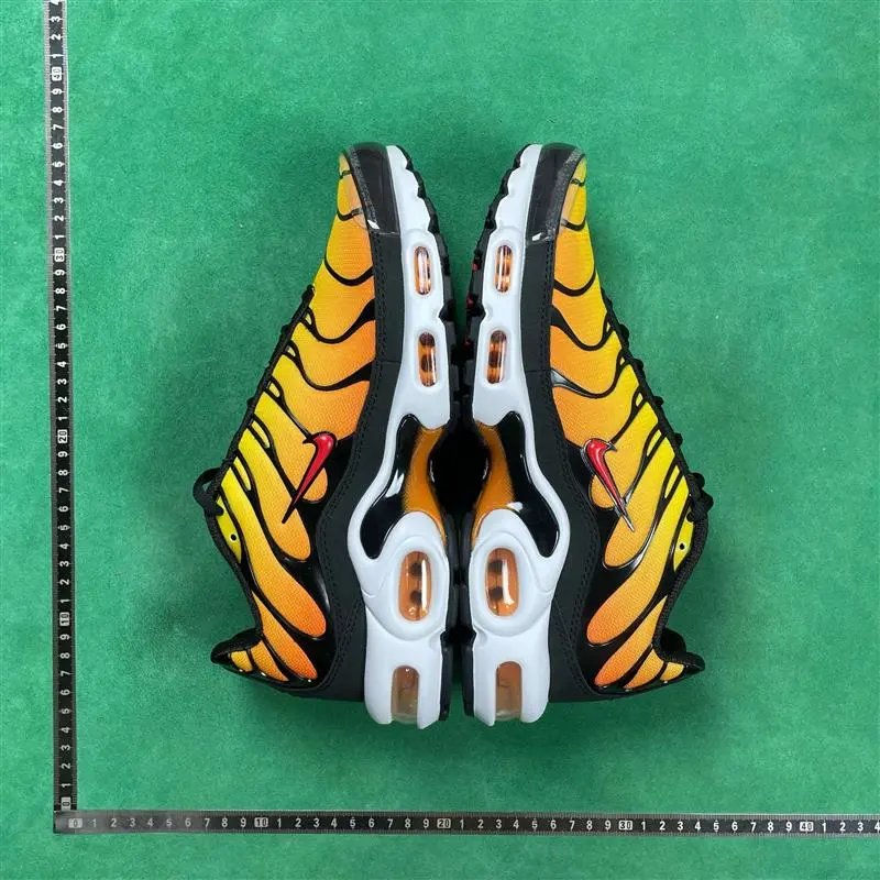 Nike Air Max Plus foto 5