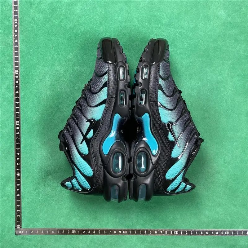 Nike Air Max Plus foto 2