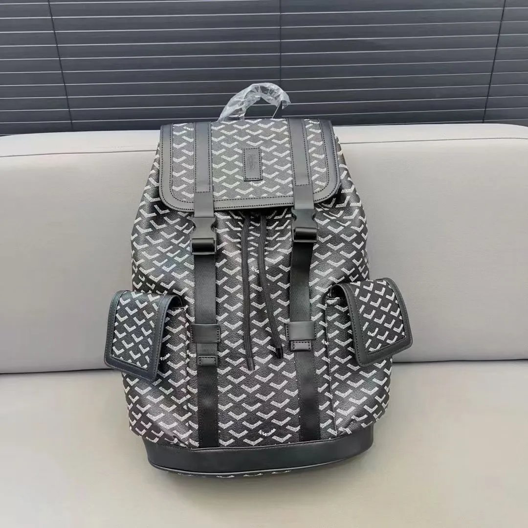 Goyard Saint Louis Backpack [8