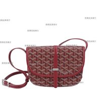 Goyard Bag — seller photo 5
