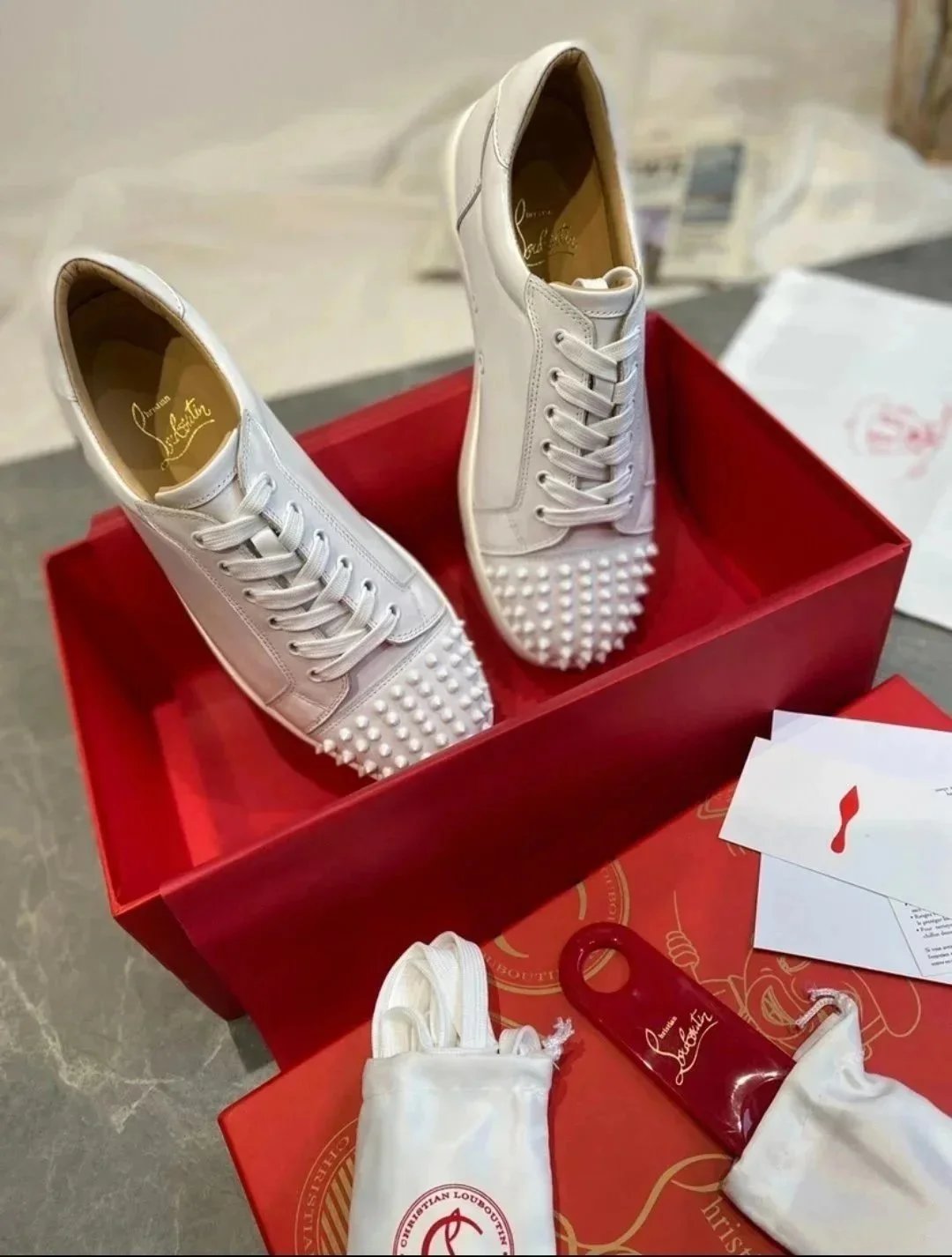 Hedgehog Shoe