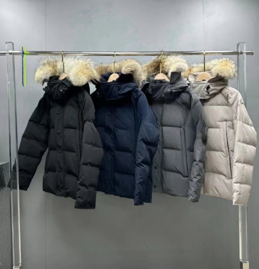 时尚服饰-2864：findsindex.com