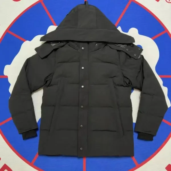 Design Black Hooded Down Jacket - 1