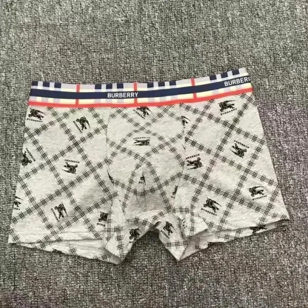 Burberry Check Print Boxer Briefs Gray Underwear - 1