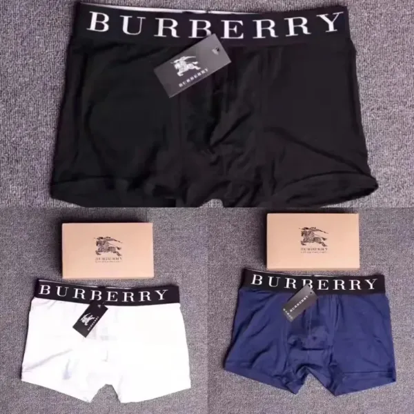 Burberry Logo Waistband Boxer Briefs in Black, White, and Navy Underwear - 1
