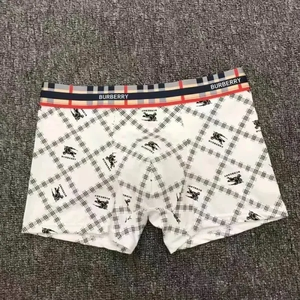 Burberry Check Print Boxer Briefs White Underwear - 1