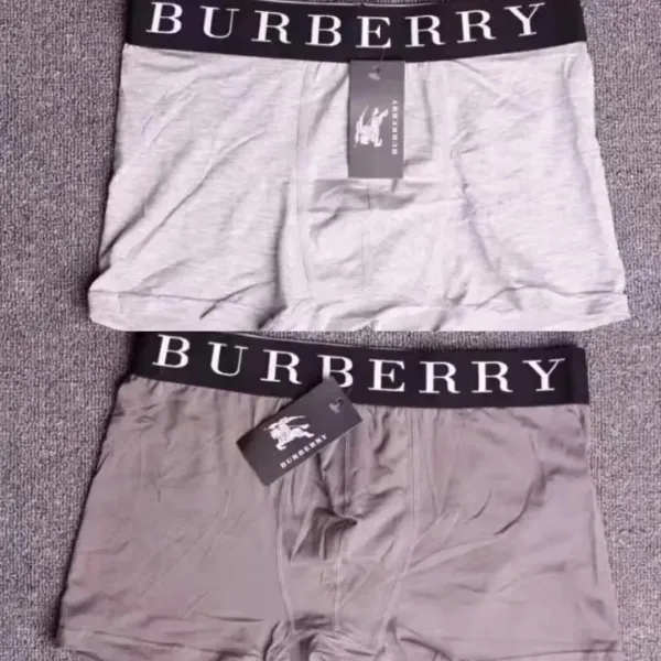 Burberry Logo Waistband Boxer Briefs Gray and Charcoal Underwear - 1