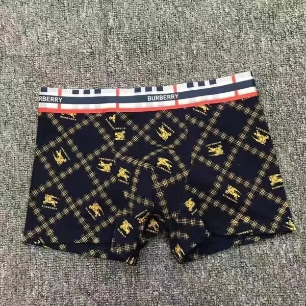 Burberry Check Print Boxer Briefs Navy Gold Underwear - 1