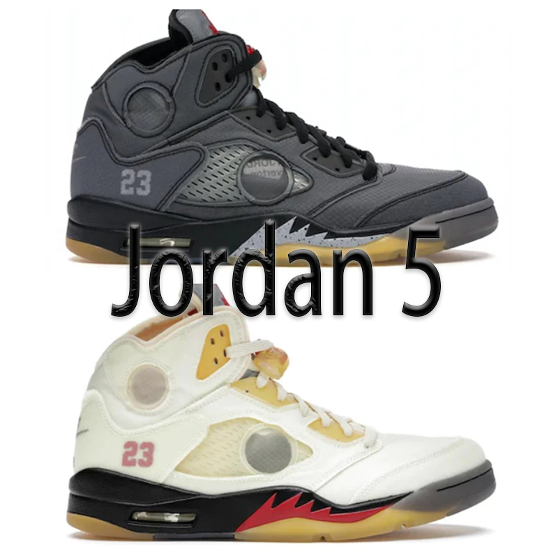 Jordan 5 Grey and White High T