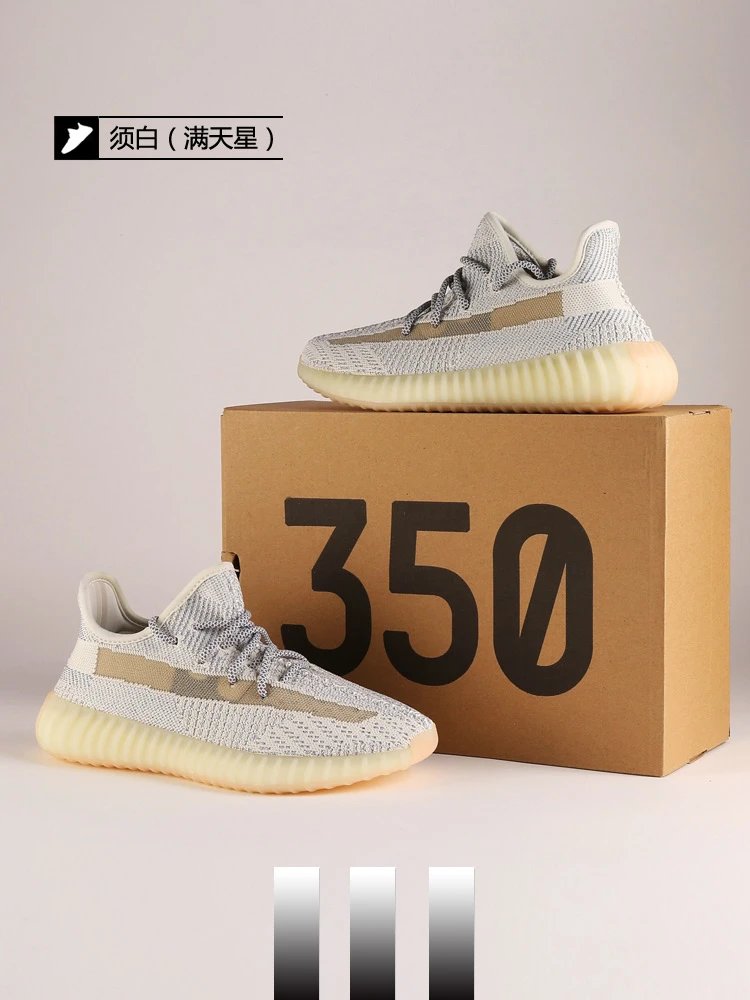 Yeezy 350 V2 10