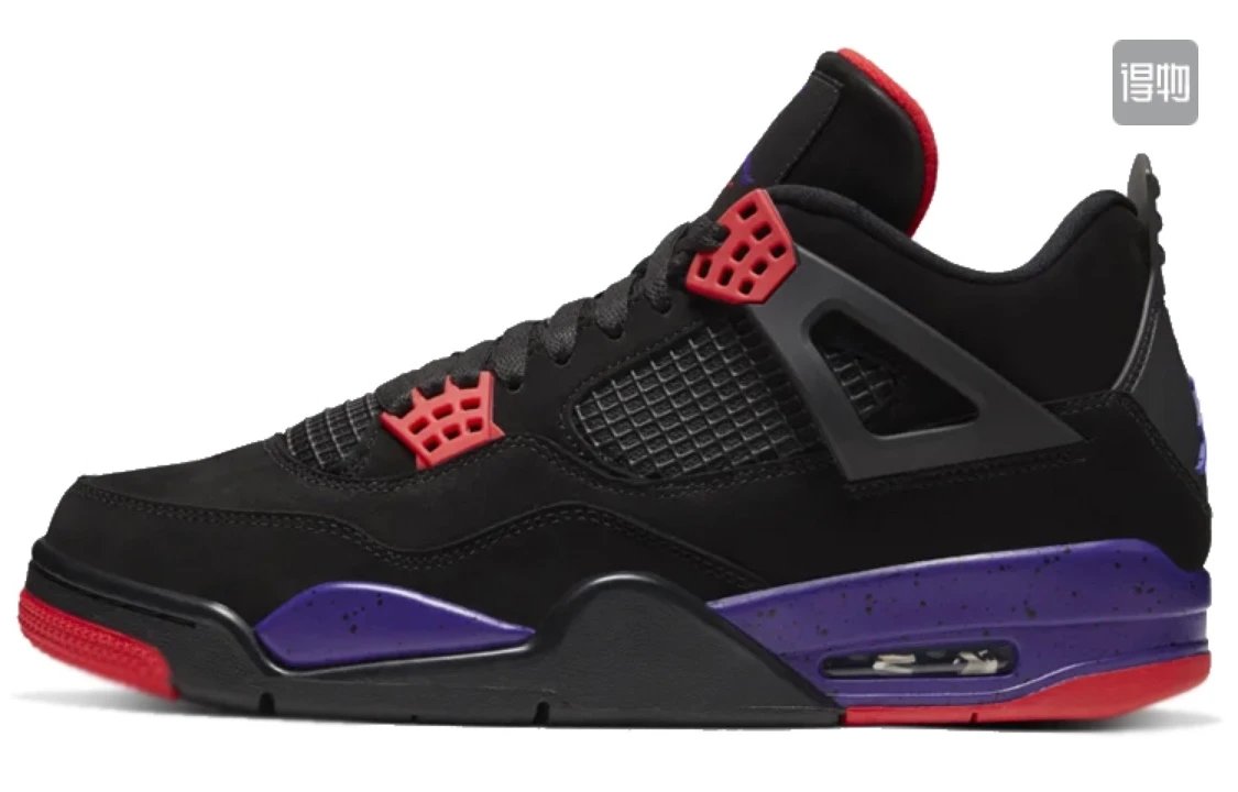 Raptors