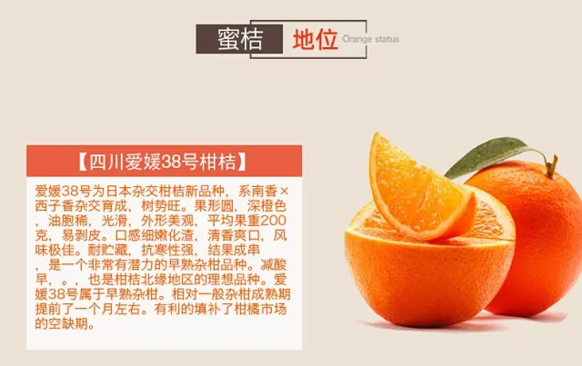 应季水果、柑橘界的“王炸”：可以“吸”着吃的四川爱媛38号果冻橙 团购价15.16元起包邮​ 买手党-买手聚集的地方
