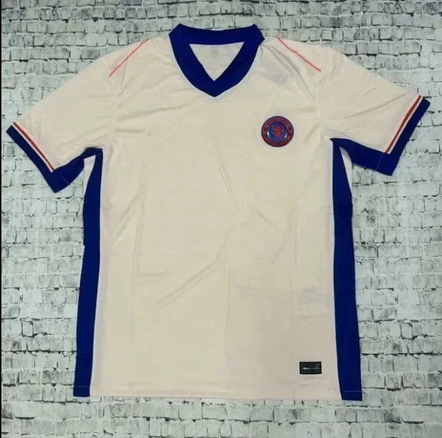 Puma Football Jerseys 2024-25 Club Jersey product detail image 3