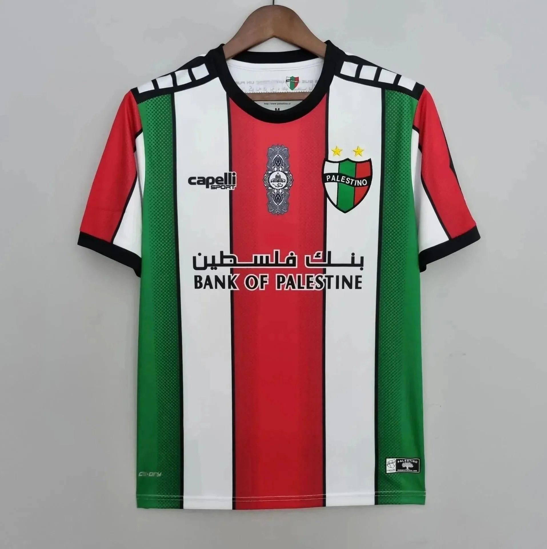 2223巴勒斯坦特别版