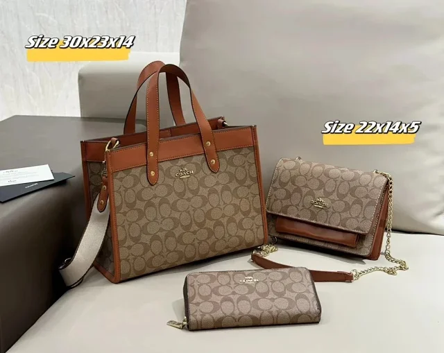 Celine Handbags Triomphe Monogram Handbag Set product detail image 7