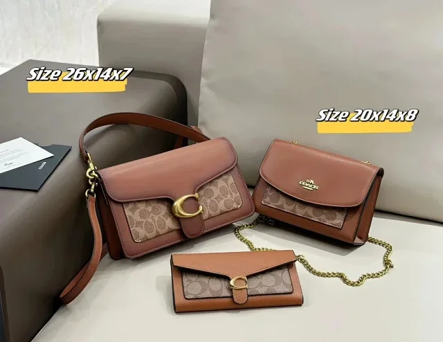 Celine Handbags Triomphe Monogram Handbag Set product detail image 5