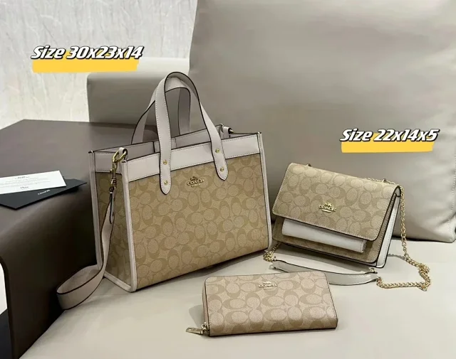 Celine Handbags Triomphe Monogram Handbag Set product detail image 8
