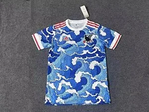 Nike Football Jerseys National Team and Club Graphic Designs product detail image 6