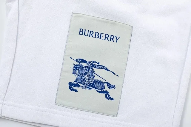 Burberry Shorts Elastic-Waist Drawstring Logo product detail image 5