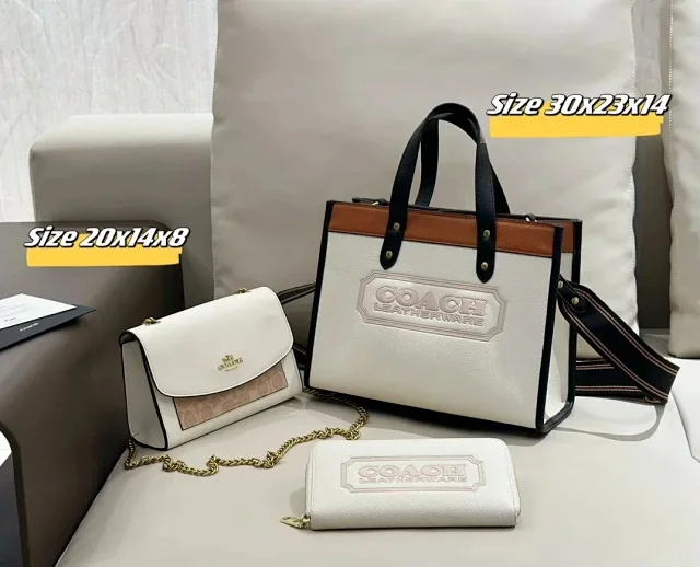Celine Handbags Triomphe Monogram Handbag Set product detail image 9