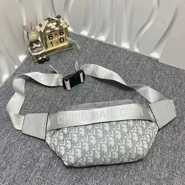 Dior Oblique Monogram Gray Belt Bag - 1