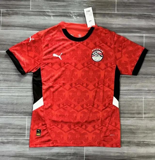 Puma Football Jerseys club designs product detail image 6