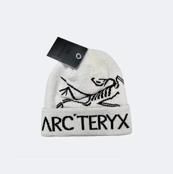 Arc'teryx Bird Logo Beanie White - 1